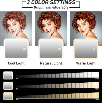 Lighted Makeup Travel Case with Mirror